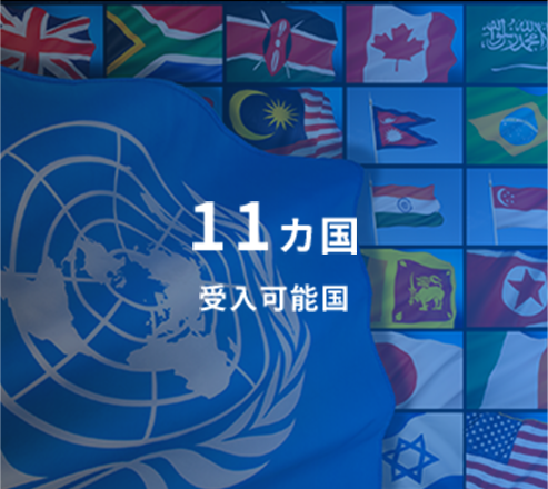 11カ国 受入可能国