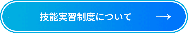 技能実習制度について